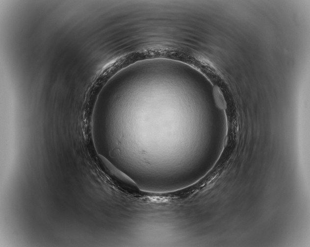 X0000087350822200704271418