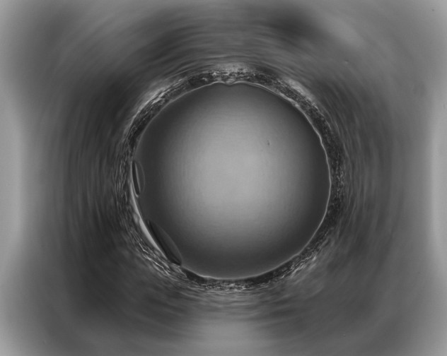 X0000087350823200704271418