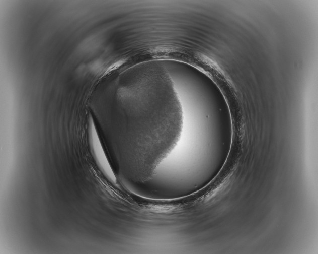 X0000087350825200704271418