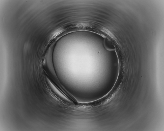 X0000087350826200704271418