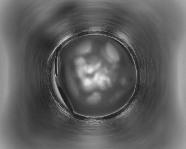 X0000087350827200704271418
