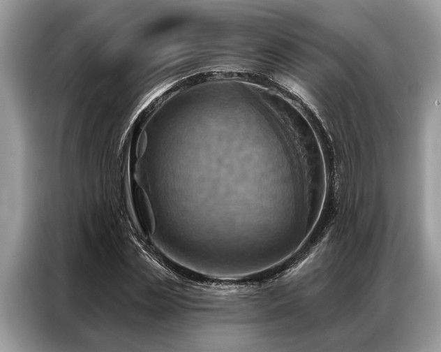 X0000087350829200704271418