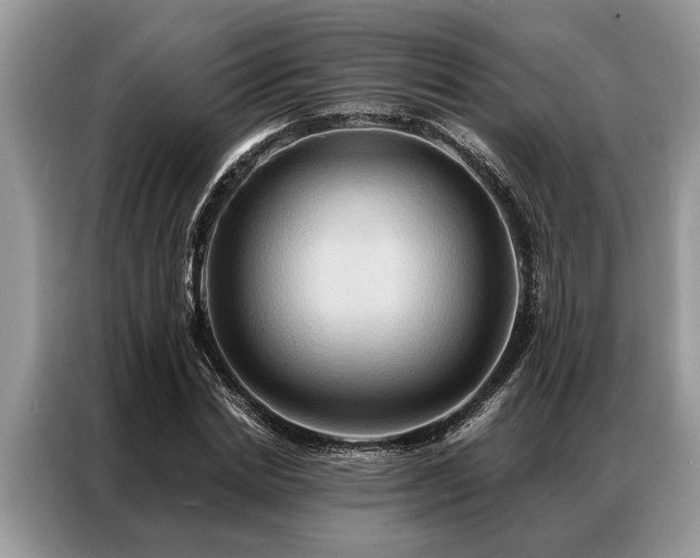 X0000087350830200704271418