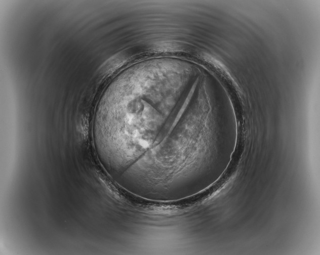 X0000087350833200704271418