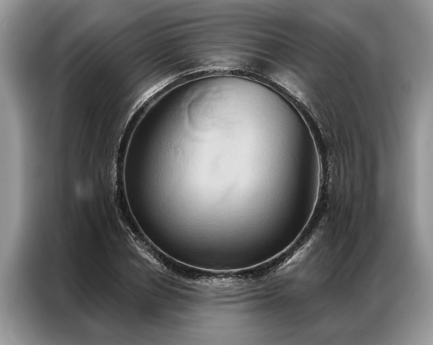 X0000087350834200704271418
