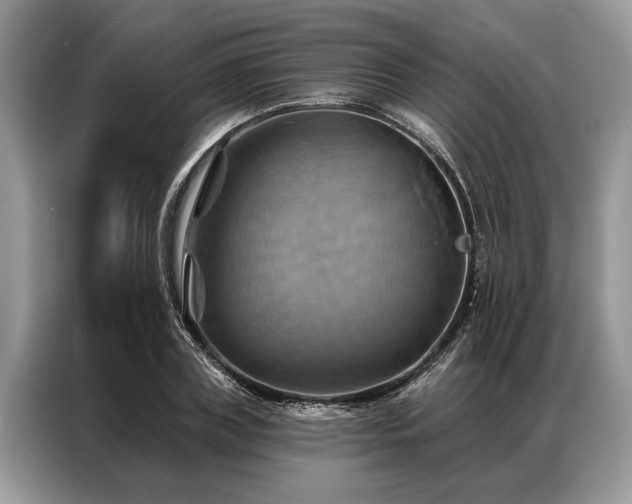 X0000087350835200704271418