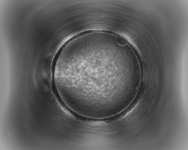 X0000087350837200704271418