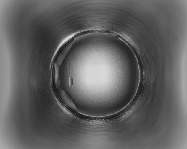 X0000087350838200704271418