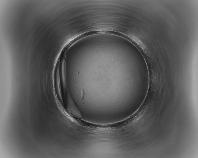 X0000087350840200704271418