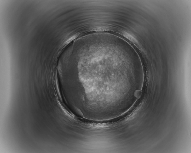 X0000087350841200704271418