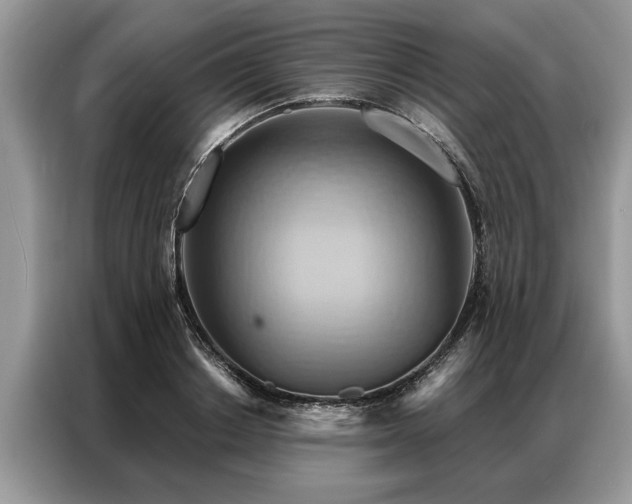 X0000087350842200704271418