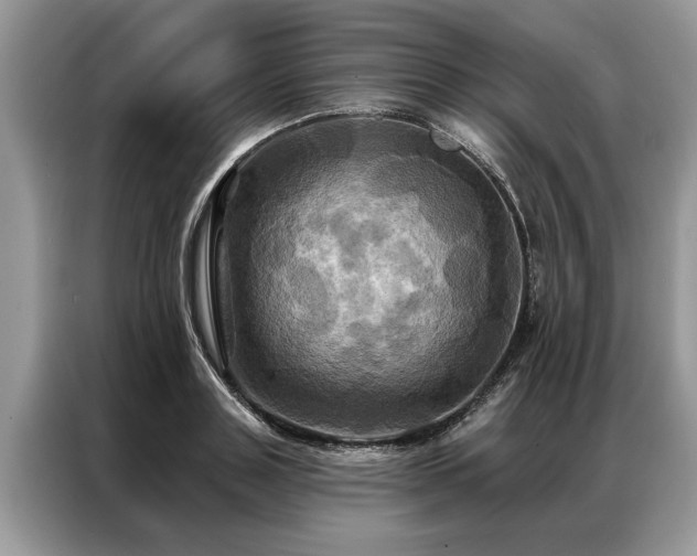 X0000087350843200704271418