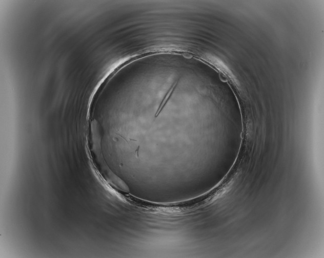 X0000087350844200704271418