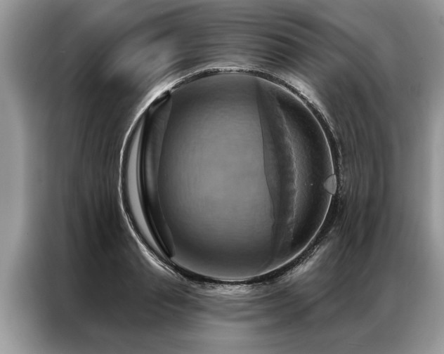 X0000087350845200704271418