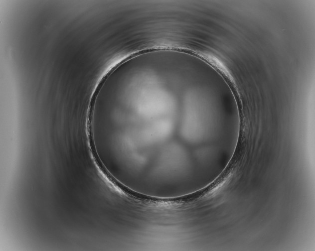 X0000087350847200704271418