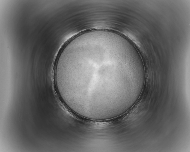 X0000087350848200704271418
