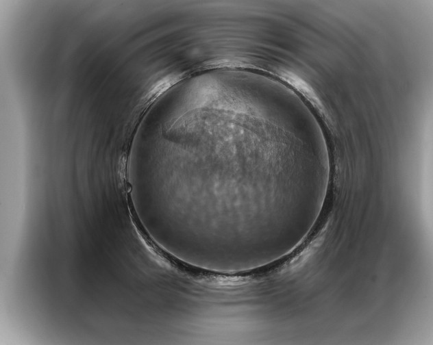 X0000087350849200704271418
