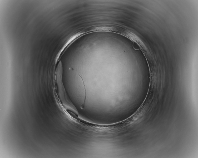 X0000087350852200704271418