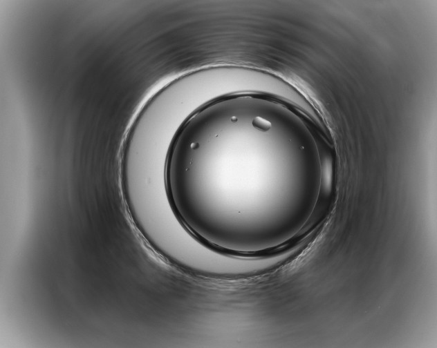 X0000087350854200704271418
