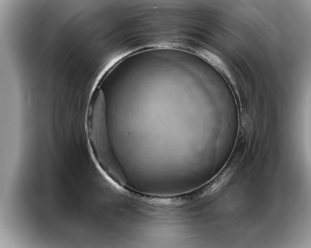 X0000087350855200704271418