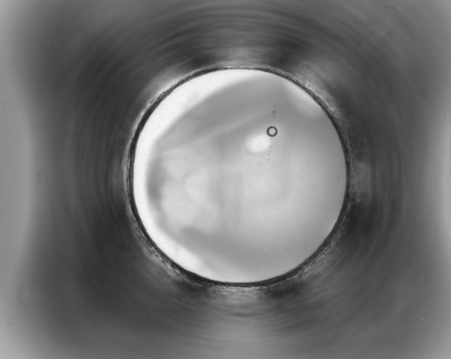 X0000087350856200704271418