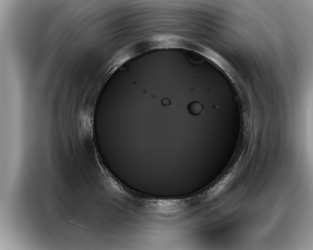 X0000087350857200704271418