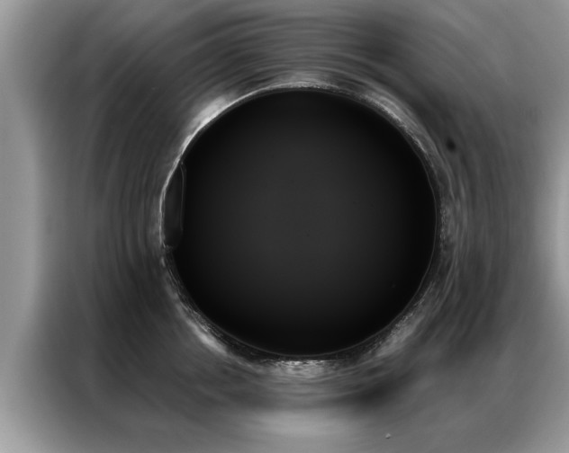 X0000087350858200704271418