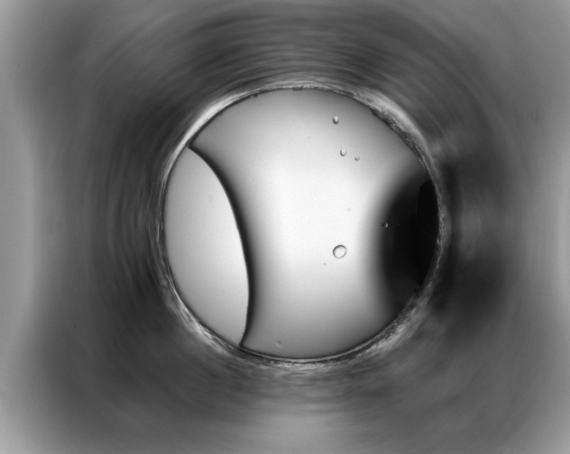 X0000087350860200704271418