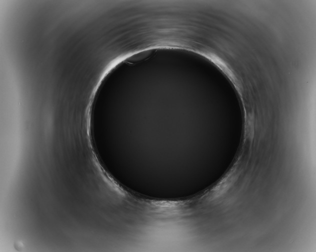 X0000087350862200704271418