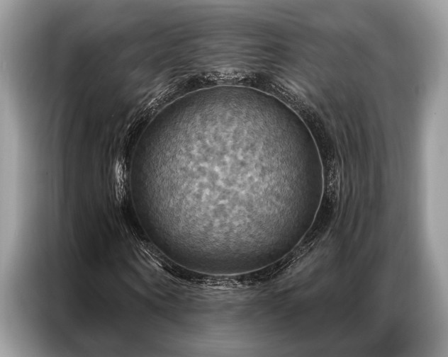 X0000087350866200704271418