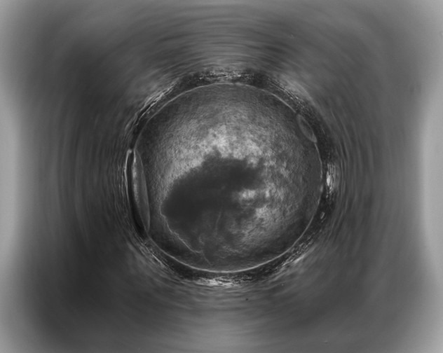 X0000087350867200704271417