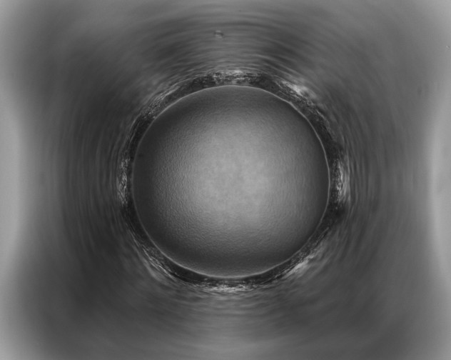 X0000087350868200704271417