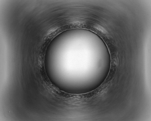 X0000087350869200704271417