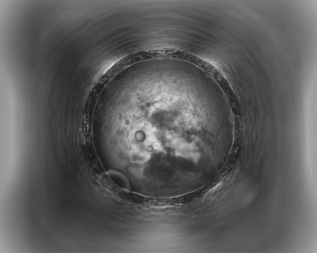 X0000087350871200704271417