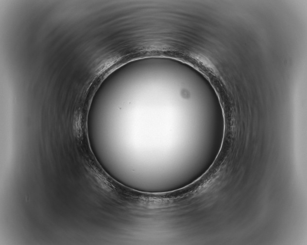 X0000087350873200704271417