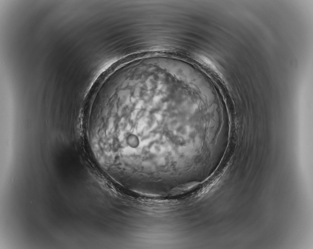 X0000087350875200704271417