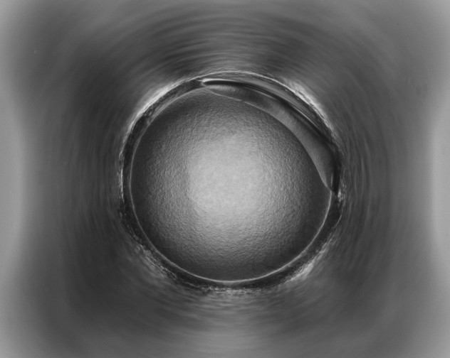 X0000087350877200704271417