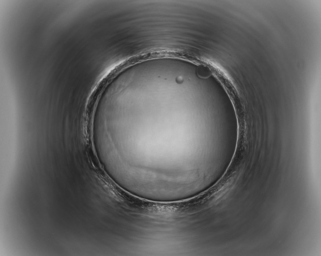 X0000087350878200704271417