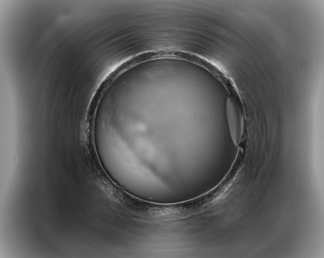 X0000087350879200704271417