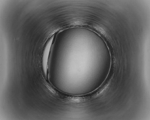X0000087350881200704271417