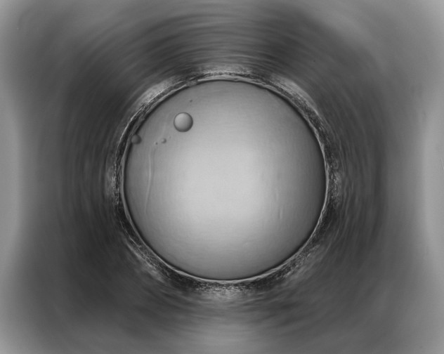X0000087350882200704271417