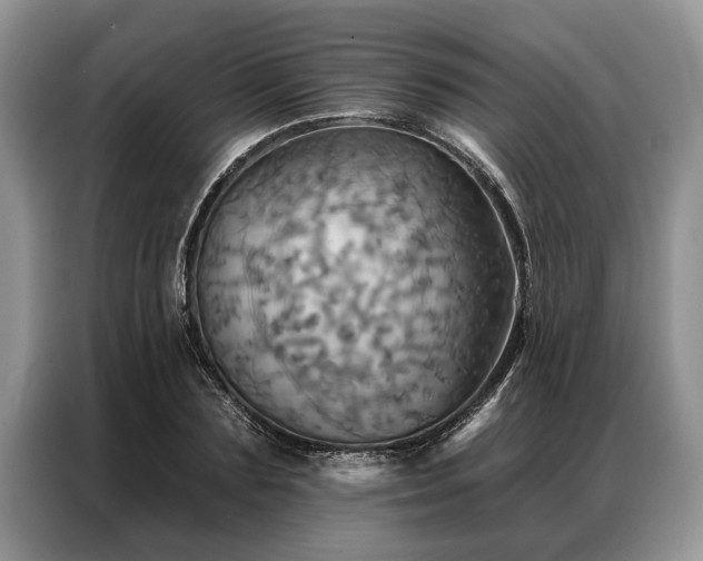 X0000087350883200704271417
