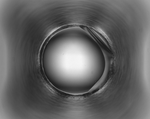 X0000087350884200704271417