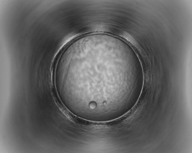 X0000087350886200704271417