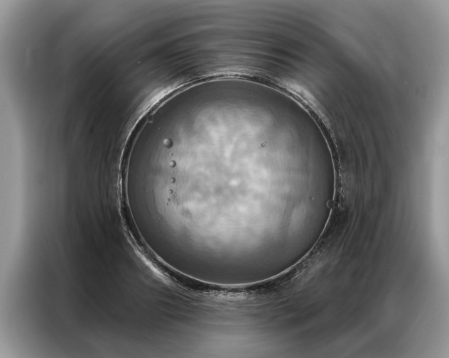 X0000087350890200704271417
