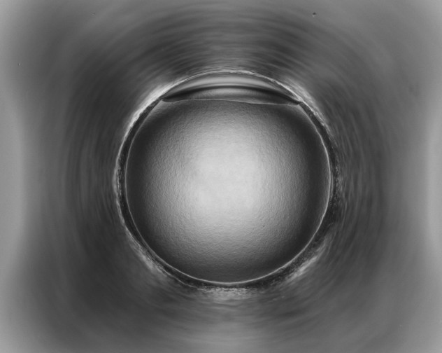 X0000087350893200704271417