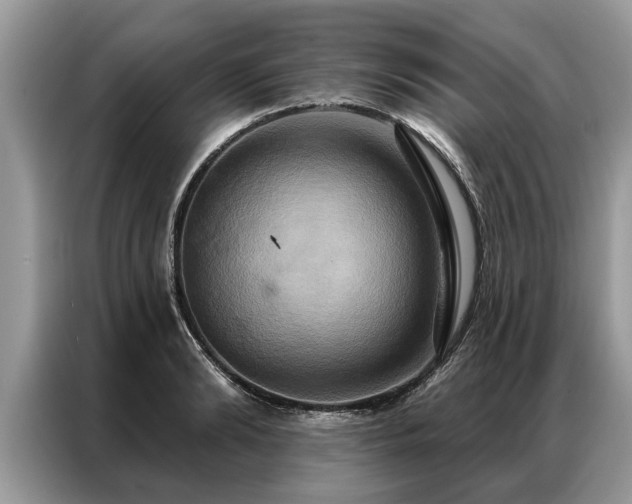 X0000087350894200704271417