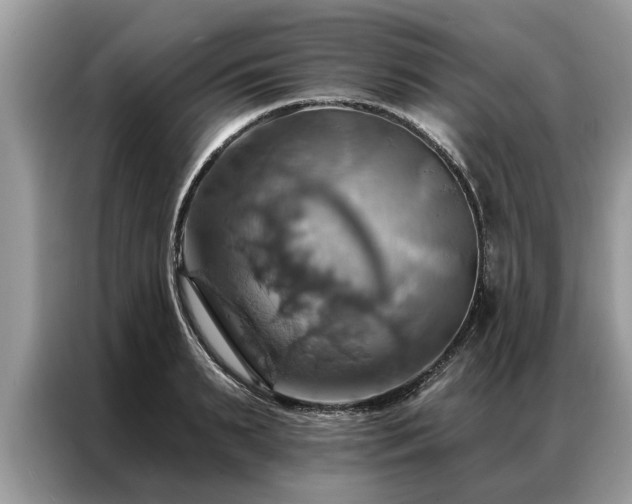 X0000087350895200704271417