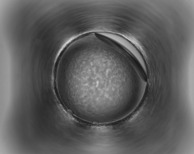 X0000087350896200704271417