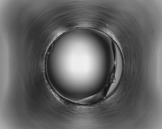 X0000087350898200704271417